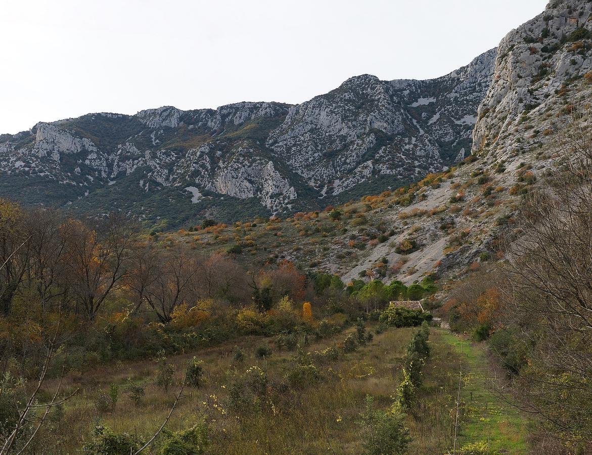 Les Hauts D'Issensac Causse-de-la-Selle Экстерьер фото